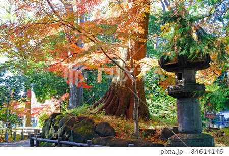 小江戸川越の喜多院の秋 紅葉が見ごろの風景 小江戸川越の喜多院の秋 紅葉が見ごろの風景 84614146