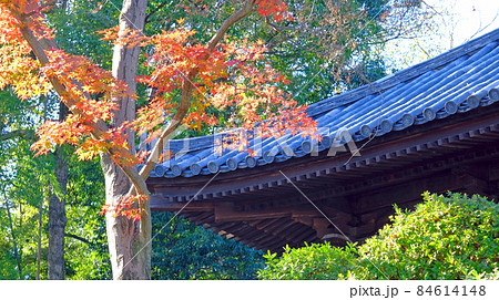 小江戸川越の喜多院の秋 紅葉が見ごろの風景 小江戸川越の喜多院の秋 紅葉が見ごろの風景 84614148