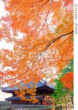 小江戸川越の喜多院の秋 紅葉が見ごろの風景 小江戸川越の喜多院の秋 紅葉が見ごろの風景 84614153