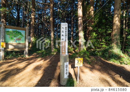 大高取山の西山高取山頂（埼玉県越生町） 84615080