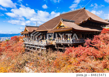 秋の京都　清水寺　本堂 84615471