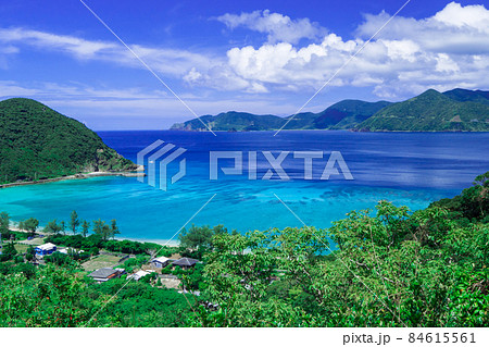 加計呂麻島（実久ビーチ） 84615561