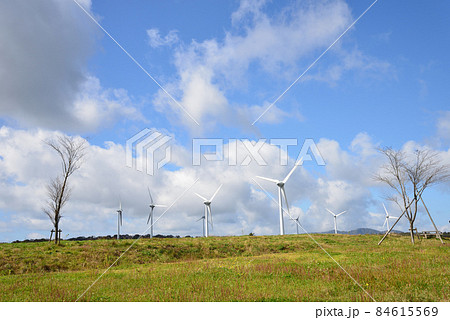 布引風の高原へ又行きました　＃48 84615569