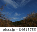 三輪山 84615755