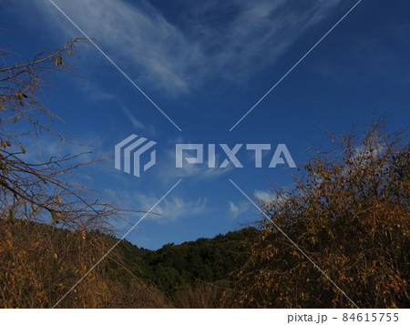 三輪山 三輪山 84615755