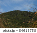 三輪山 84615758