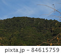 三輪山 84615759
