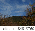 三輪山 84615760