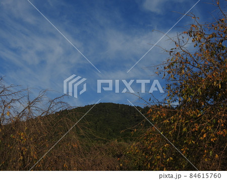 三輪山 84615760