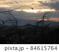 三輪山 84615764