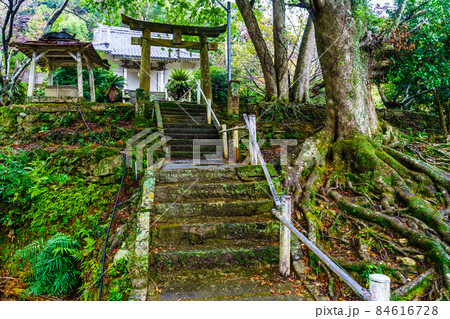 老松神社　【長崎県南松浦郡新上五島町】 84616728