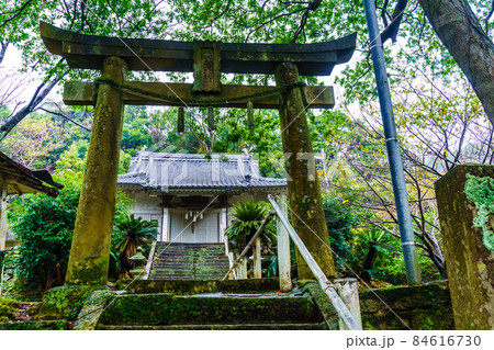 老松神社　【長崎県南松浦郡新上五島町】 84616730