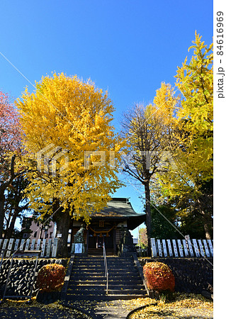 皇武神社 皇武神社 84616969