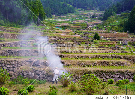 農作業を終え立ち上る煙に冬近し 84617165