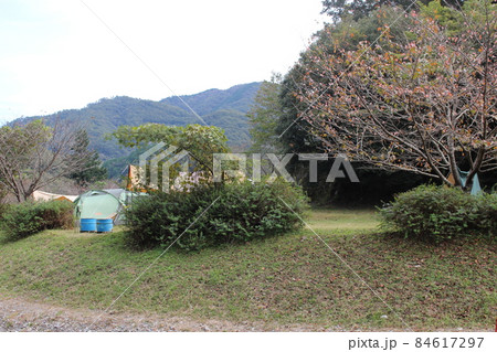 秋のキャンプ　川沿キャンプ場　【兵庫県】 84617297
