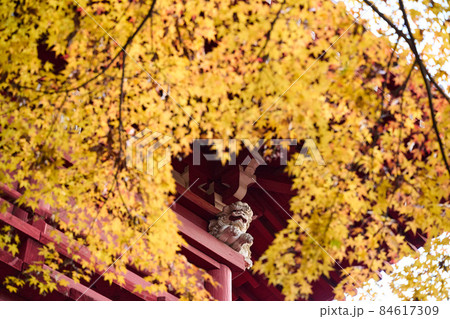 寺と紅葉 秋 寺と紅葉 秋 84617309