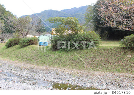 知明湖キャンプ場　秋の風景　【兵庫県】 84617310