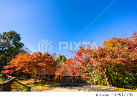 湯ヶ島温泉の紅葉 湯ヶ島温泉の紅葉 84617746
