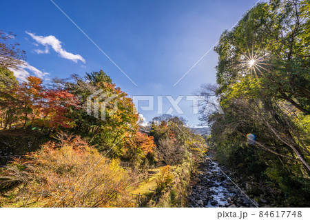 湯ヶ島温泉の紅葉 湯ヶ島温泉の紅葉 84617748