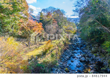 湯ヶ島温泉の紅葉 84617944