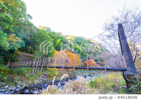 湯ヶ島温泉の紅葉 湯ヶ島温泉の紅葉 84618006