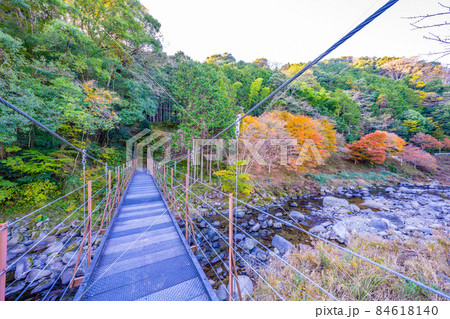 湯ヶ島温泉の紅葉 84618140