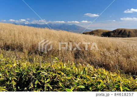 秋晴れの霧ヶ峰高原の風景 秋晴れの霧ヶ峰高原の風景 84618257