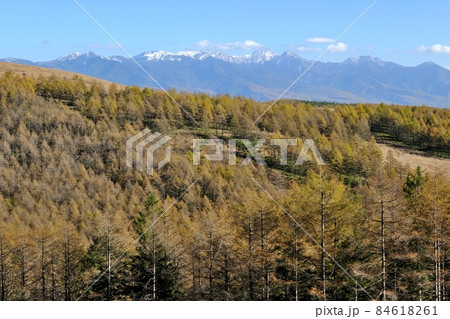 秋晴れの霧ヶ峰高原の風景 秋晴れの霧ヶ峰高原の風景 84618261