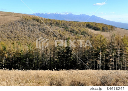 秋晴れの霧ヶ峰高原の風景 秋晴れの霧ヶ峰高原の風景 84618265