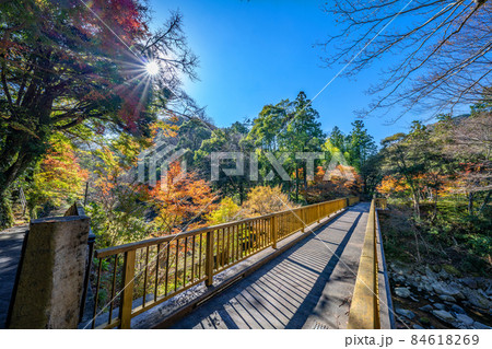 湯ヶ島温泉の紅葉 84618269
