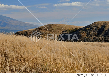 秋晴れの霧ヶ峰高原の風景 秋晴れの霧ヶ峰高原の風景 84618304