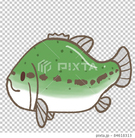 R: More fairy tale aquarium ☆ Alien species black bass ① 84618313