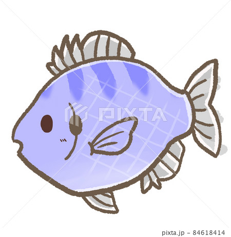 R もっとメルヘンな水族館 外来種 ブルーギル のイラスト素材