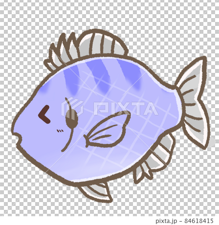 R：更多童話水族箱☆外來種藍鰓魚② 84618415