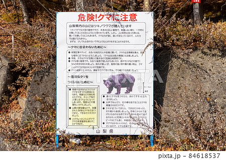 山梨県　夜叉神峠　熊出没注意 84618537