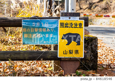 山梨県 夜叉神峠 熊出没注意 山梨県 夜叉神峠 熊出没注意 84618546
