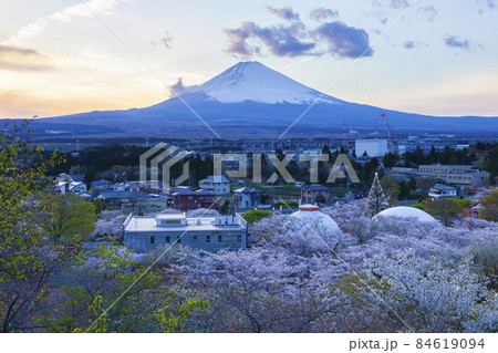 富士山と満開の桜　御殿場市神山時之栖にて 84619094