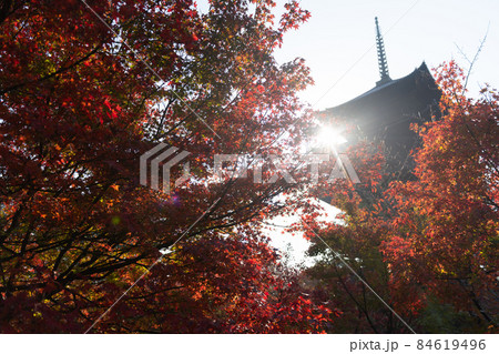 京都の紅葉 京都の紅葉 84619496