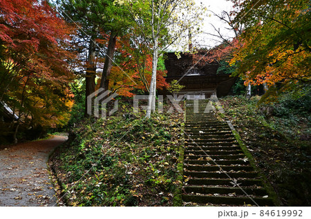荘厳寺の紅葉 84619992