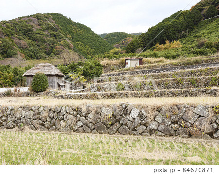 静岡県伊豆市修善寺の北山の棚田の冬 84620871