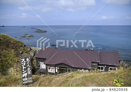 礼文島 スコトン岬 夏の北海道 礼文島 スコトン岬 夏の北海道 84620936