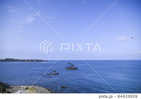 礼文島 スコトン岬 夏の北海道 礼文島 スコトン岬 夏の北海道 84620939