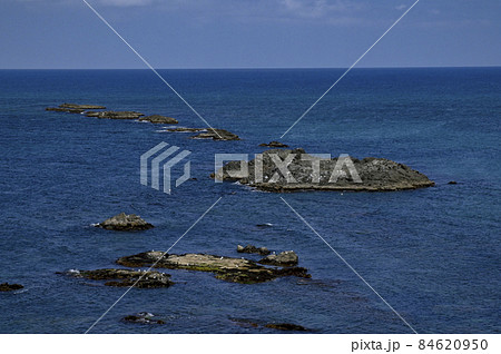 礼文島　スコトン岬　夏の北海道 84620950