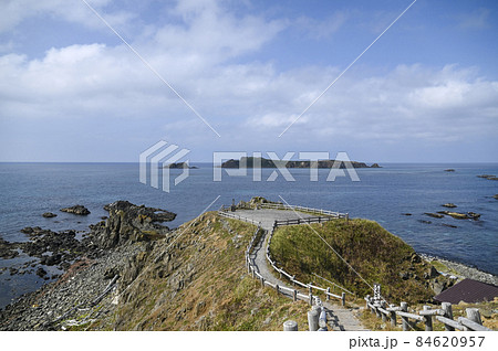 礼文島 スコトン岬 夏の北海道 礼文島 スコトン岬 夏の北海道 84620957