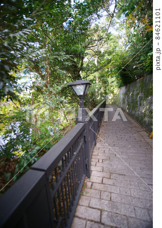 伊東市 松川遊歩道 伊東市 松川遊歩道 84621101