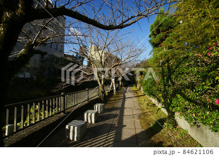 伊東市 松川遊歩道 伊東市 松川遊歩道 84621106