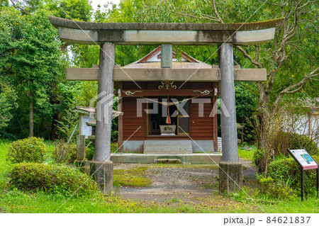 原五社神社（鹿児島市吉野） 84621837