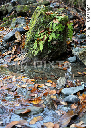 秩父散歩：露天掘り跡「和銅遺跡」 84621969