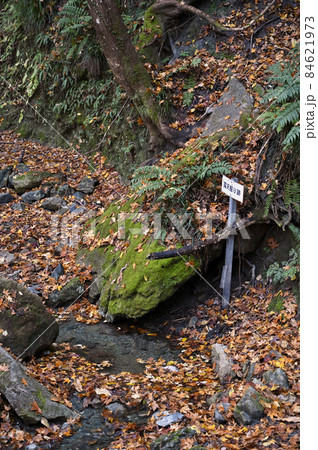 秩父散歩：露天掘り跡「和銅遺跡」 84621973