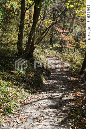 秩父散歩：山道　和銅山山麓 84621991